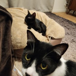 「うなと福助」サムネイル2