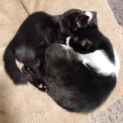 「うなと福助」サムネイル3