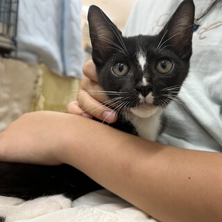 里親決定。うなぎ君