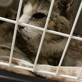 里親募集????‍♂️