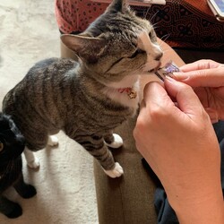 「まるでそこに居るみたい」サムネイル3