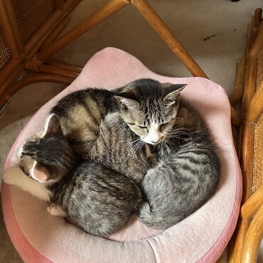別れを惜しむかの様に…