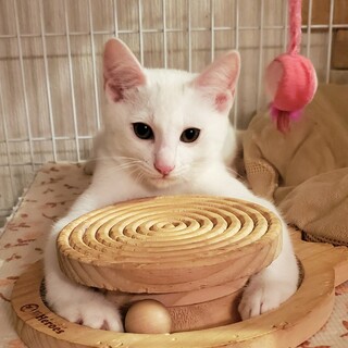 やっちゃん、優しい家族が出来ました⭐