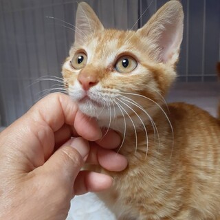 〝エル君〟です♪