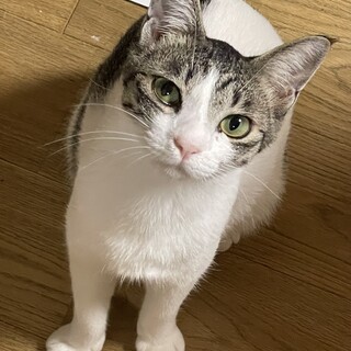 きれいな顔立ちの凪君