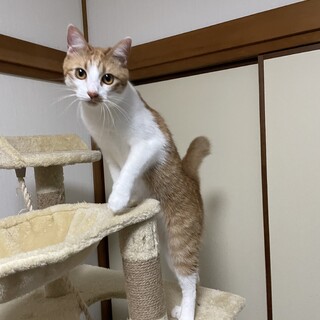 人が大好き♡警戒心ゼロな1歳半の男の子