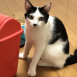 某芸人にそっくり！？つぶらな瞳の山内ちゃん
