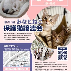 ねこの譲渡会@芝浦(JR田町駅徒歩7分) サムネイル1