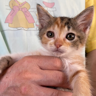 小っちゃいけれどおてんばさん元気な『とあ』