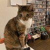 ミク