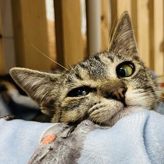 美少女♡橙（だいだい）ちゃん。