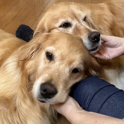 「家族が増えました」サムネイル3