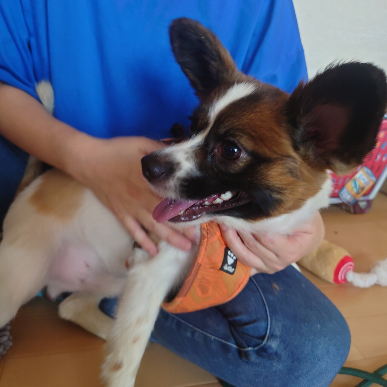 これから幸せになるんだ！性格抜群良しの【政宗くん】 サムネイル5