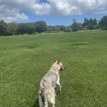 公園デビュー