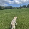 公園デビュー