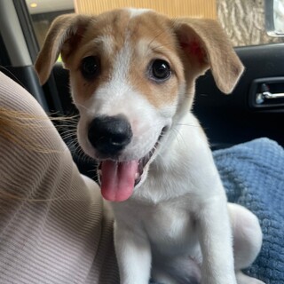 素敵なご縁がありましたマイペースで甘えん坊な男の子