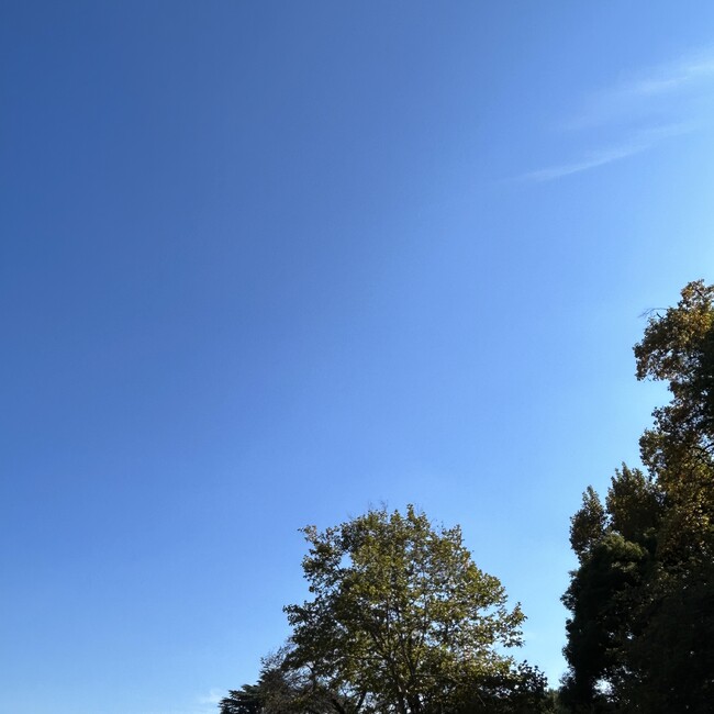 ゆこ07のカバー写真