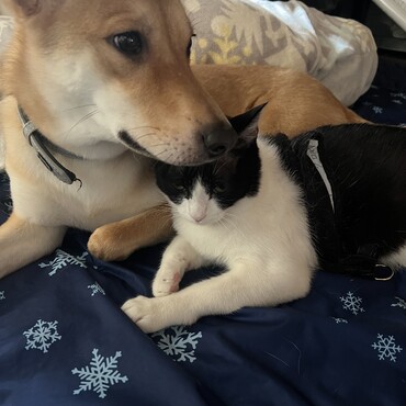 仲良し