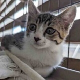 食欲旺盛な勇希くん