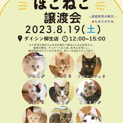 ほごねこ譲渡会　〜愛すべき野良猫の会〜