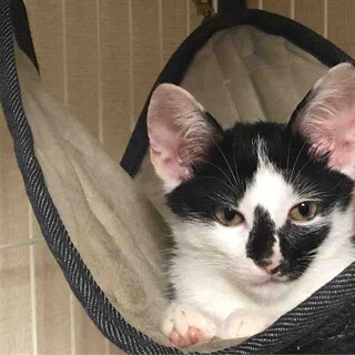 遊ぶの大好きボンドくん