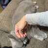 kitto27
