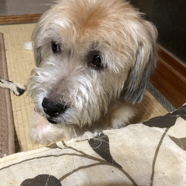 優しい蓮君❤️
