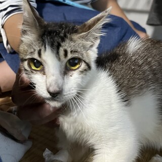 人懐っこいぼんちゃん