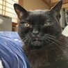 ゆり55