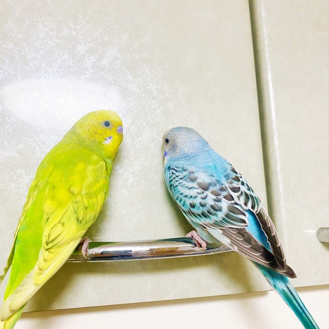 Eri.S.のカバー写真