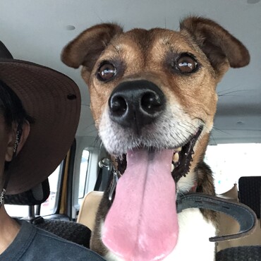 ドライブ行こうぜ！