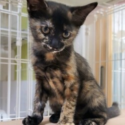 こんなに大きくなりました！後もう少しだね〜♡