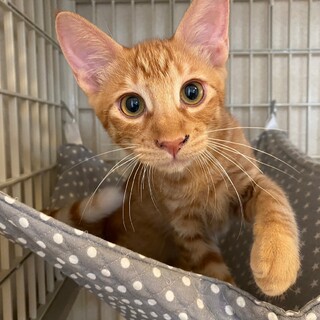 12/24宮代町無印参加 大樹くん