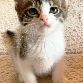 【8/27東銀座】ユリちゃん2ヵ月♪