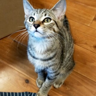 おっとりやさしい、でも遊ぶ時は全力なユンくん