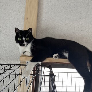 8/20西千葉ෆ⃛控えめ甘えん坊ෆ⃛ちょびちゃん