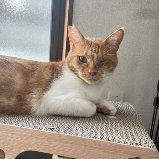 8/27稲毛海岸ෆ⃛お膝の上大好きෆ⃛チャチャくん