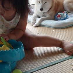 「シニア葵の暑い熱い夏(;´∀｀)」サムネイル2