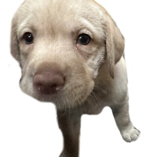 ❣️家族が決まりました❣️