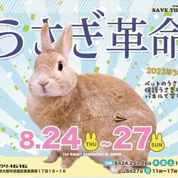 「猫、犬、うさぎのイベント」サムネイル1