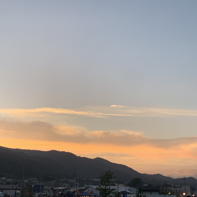 朱雨のカバー写真