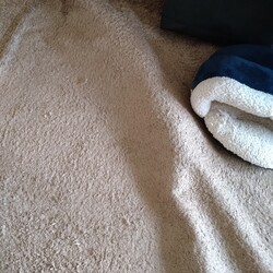 「お引越し」サムネイル2