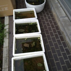 「お引越し」サムネイル3