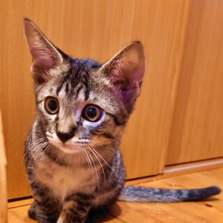 超甘えん坊の『むさし』♡