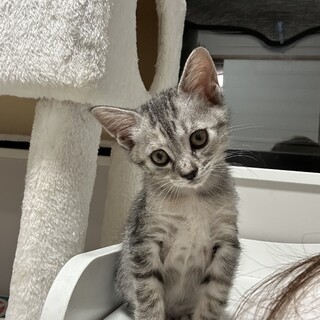 元気いっぱい人間大好きの雨ちゃん！