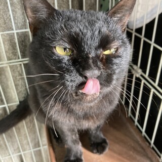 話し相手は任せて！おしゃべり文太くん。