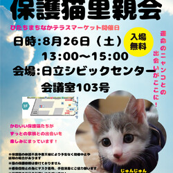 ひたちまちにゃか保護猫里親会