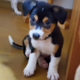 超絶ラブリーな三兄妹【ソーダ君】2ヶ月