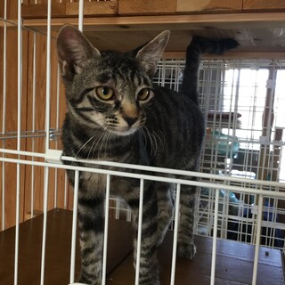 道の真ん中で逃げなかった子です