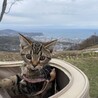 の写真